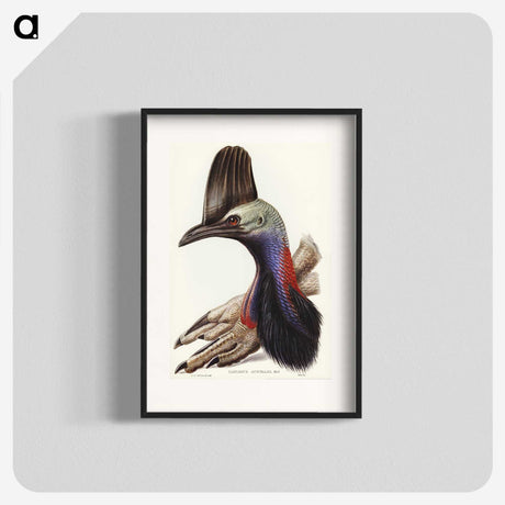 2-40_John-Gould_blk