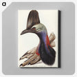 2-40_John-Gould_canvas