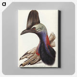 2-40_John-Gould_canvas