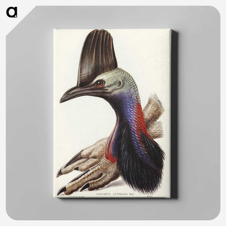 2-40_John-Gould_canvas