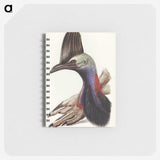 2-40_John-Gould_memo