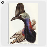 2-40_John-Gould_picture-crop