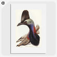 2-40_John-Gould_picture
