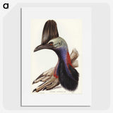 2-40_John-Gould_picture