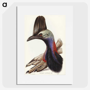 2-40_John-Gould_picture