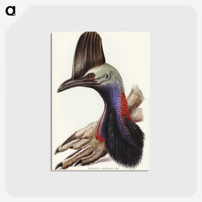 2-40_John-Gould_postcard