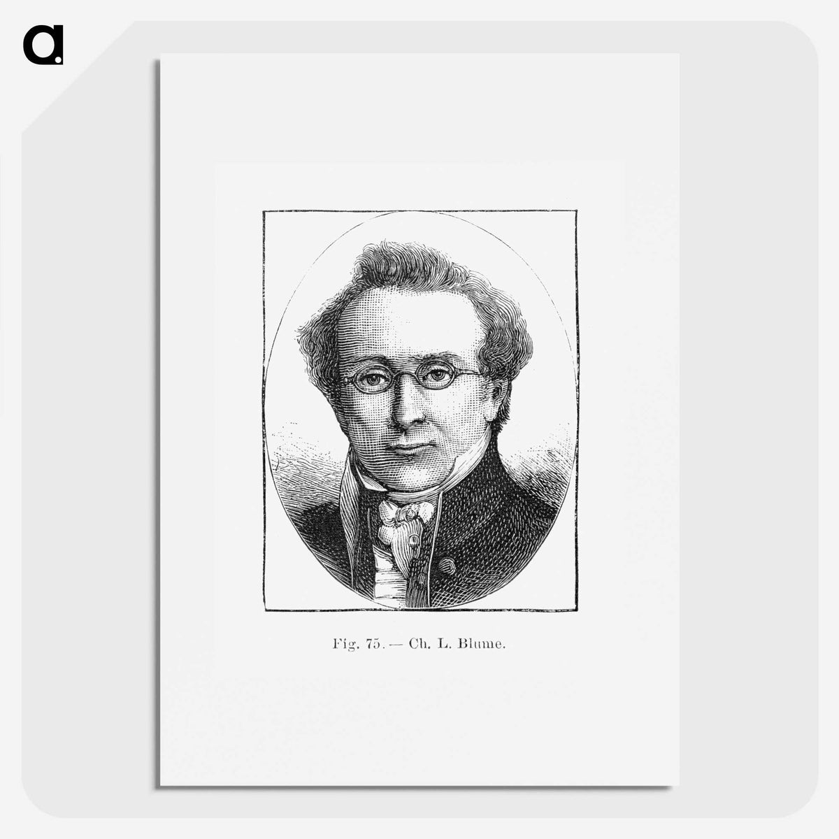2-40_Les-Palmiers-Histoire-Iconographique_picture