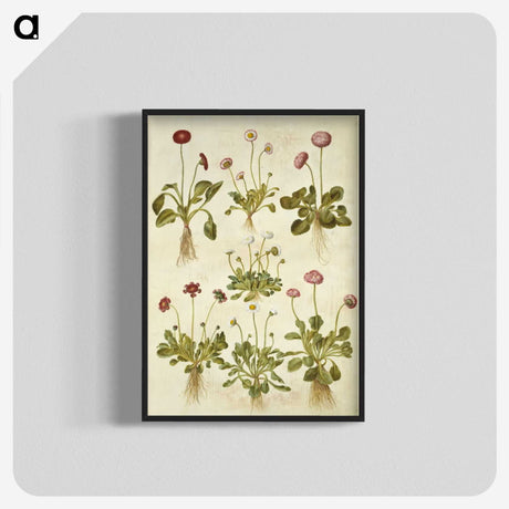 2-40_Maria-Sibylla-Merian_blk-crop