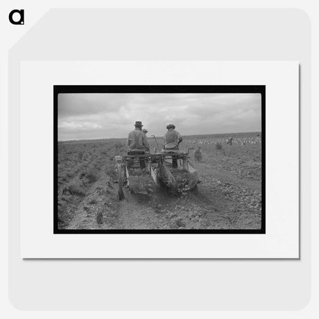 2-40_Marion-Post-Wolcott_picture