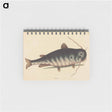 アートメモ帳-The Cat Fish
 - マーク ケイツビー Memo.