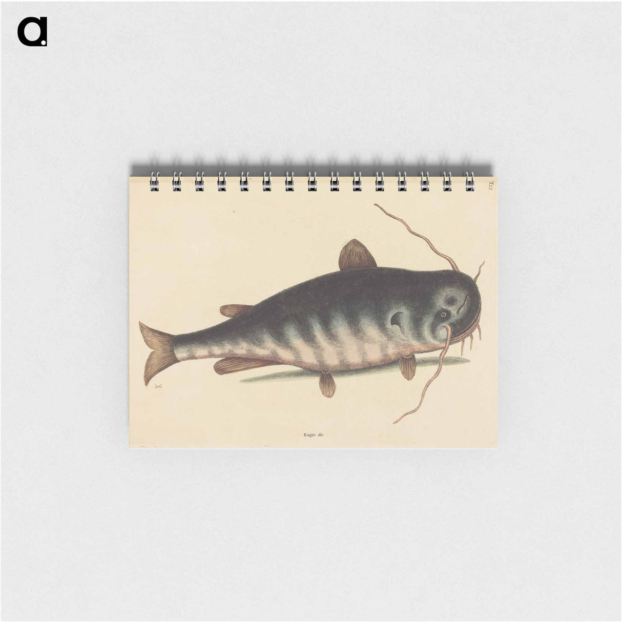アートメモ帳-The Cat Fish
 - マーク ケイツビー Memo.