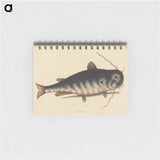 アートメモ帳-The Cat Fish
 - マーク ケイツビー Memo.