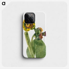 2-40_Mary-Vaux-Walcott_phone