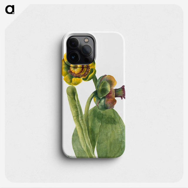 2-40_Mary-Vaux-Walcott_phone