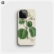 2-40_Medical-Botany_phone