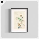 Sketches of Figures, Pandanus Leaf, and Vanilla Plant - Paul Gauguin Poster.