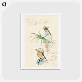 アートポストカード-Sketches of Figures, Pandanus Leaf, and Vanilla Plant - ポール ゴーギャン Postcard.