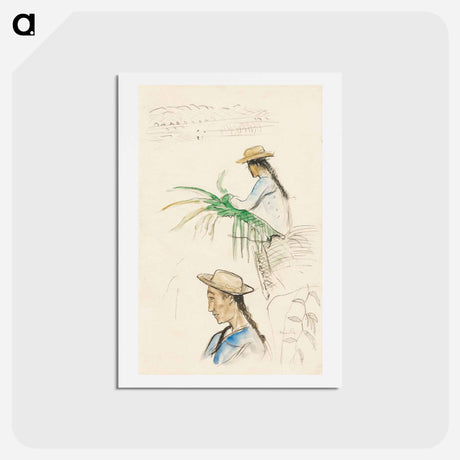 アートポストカード-Sketches of Figures, Pandanus Leaf, and Vanilla Plant - ポール ゴーギャン Postcard.
