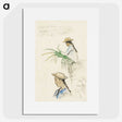 2-40_Paul-Gauguin_picture