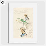 Sketches of Figures, Pandanus Leaf, and Vanilla Plant - Paul Gauguin Poster.