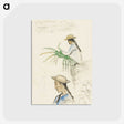 2-40_Paul-Gauguin_postcard