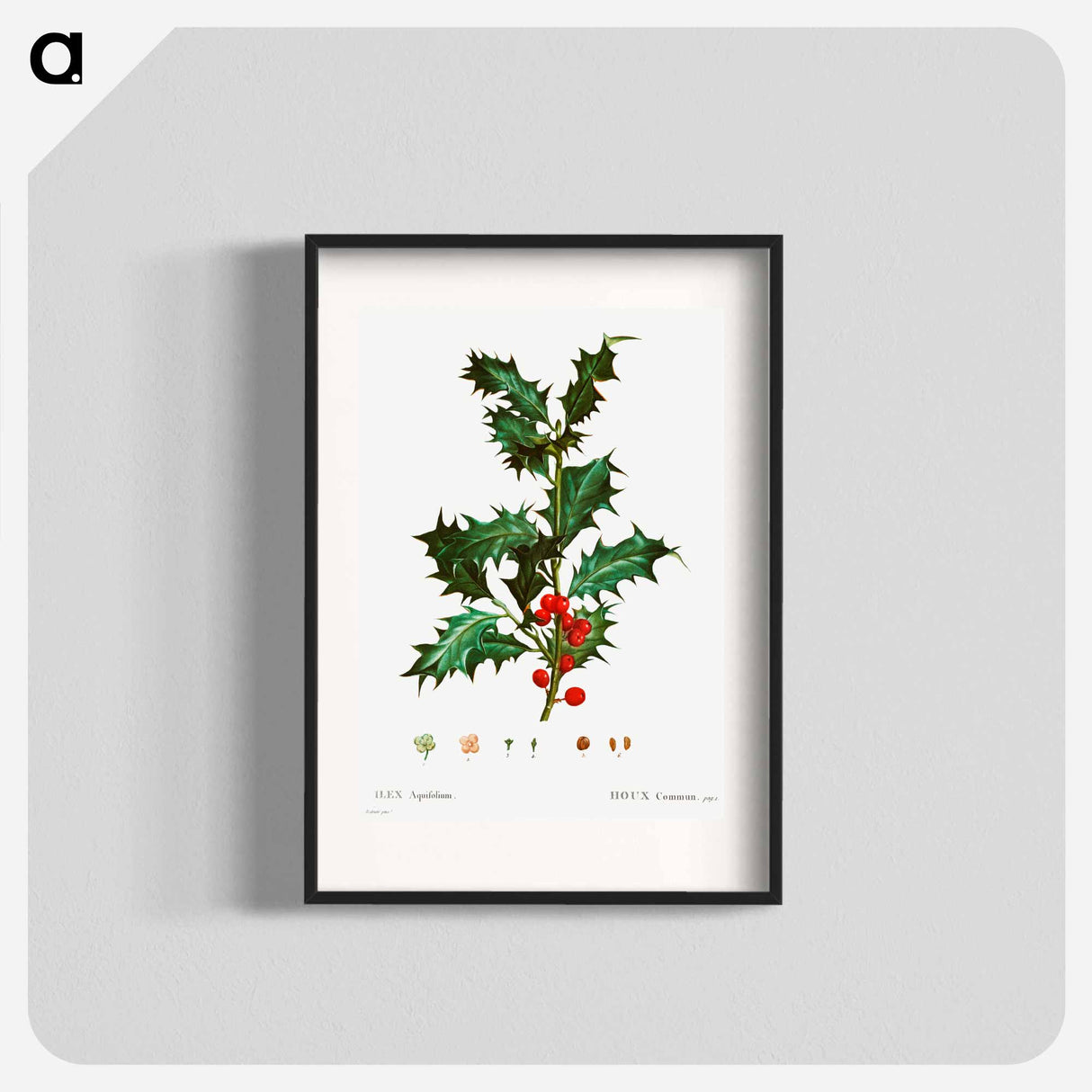 Common holly - Pierre Joseph Redouté Poster.