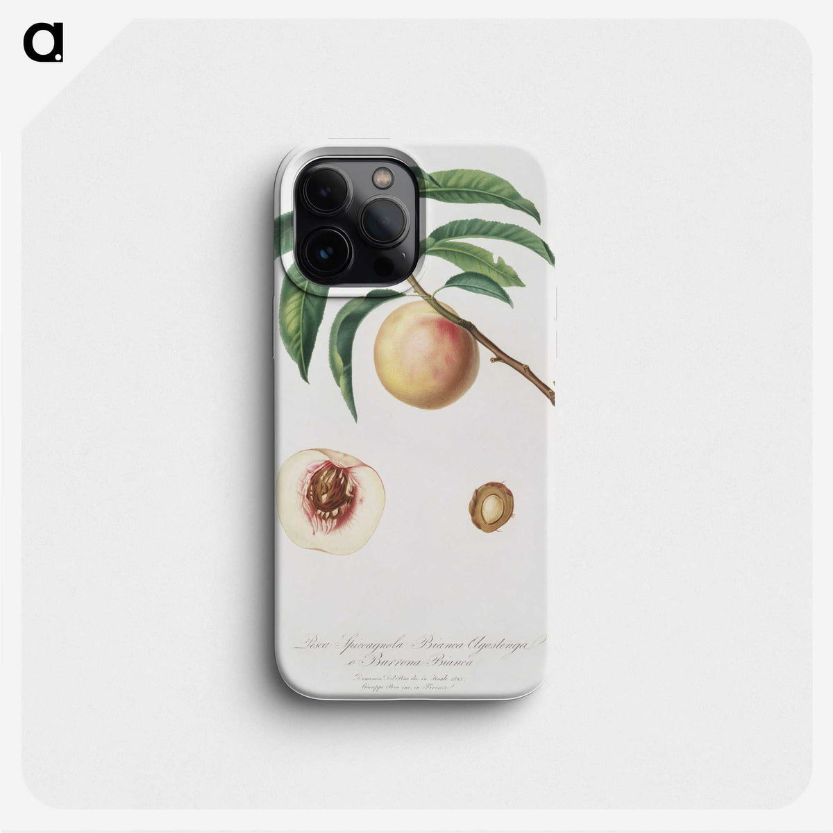 2-40_Pomona-Italiana_phone