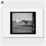 2-40_Russell-Lee_picture