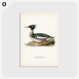 2-40_Svenska-Faglar_postcard