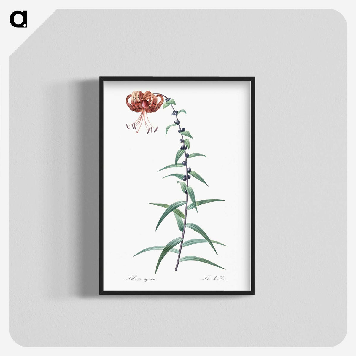 2-40_The-Lilies_blk-crop