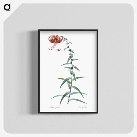 2-40_The-Lilies_blk-crop