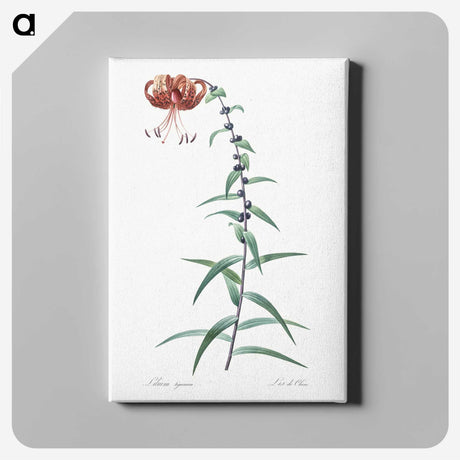 2-40_The-Lilies_canvas