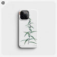 2-40_The-Lilies_phone