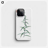 2-40_The-Lilies_phone