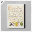 アートパネル-Sweet Violet and Spanish Broom from Mira Calligraphiae Monumenta
 - 書道のお手本 Canvas.