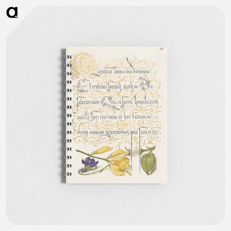 アートメモ帳-Sweet Violet and Spanish Broom from Mira Calligraphiae Monumenta
 - 書道のお手本 Memo.