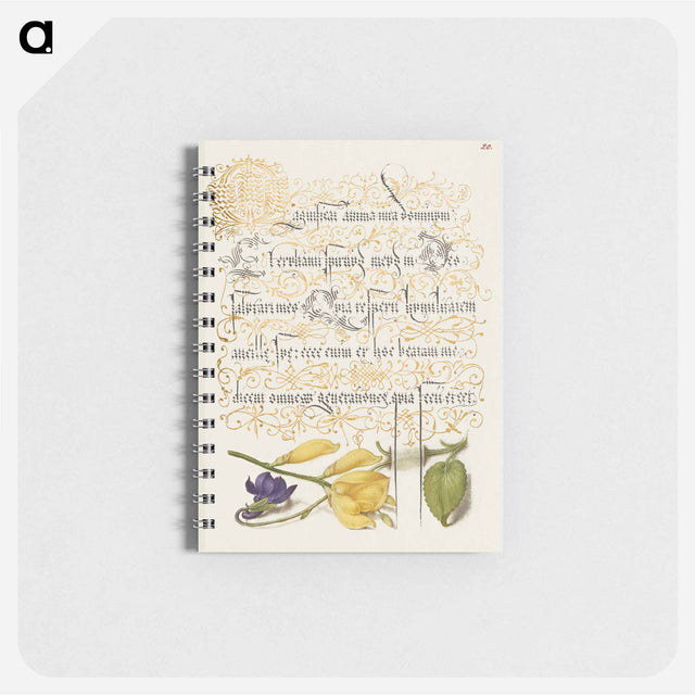 アートメモ帳-Sweet Violet and Spanish Broom from Mira Calligraphiae Monumenta
 - 書道のお手本 Memo.