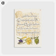 アートポストカード-Sweet Violet and Spanish Broom from Mira Calligraphiae Monumenta
 - 書道のお手本 Postcard.