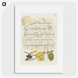 2-40_The-Model-Book-of-Calligraphy_picture