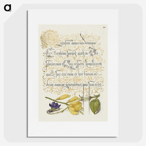 2-40_The-Model-Book-of-Calligraphy_picture