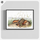 2-40_The-Viviparous-Quadrupeds_blk-crop
