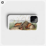 2-40_The-Viviparous-Quadrupeds_phone