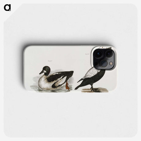 2-40_Zoology-of-New-York_phone