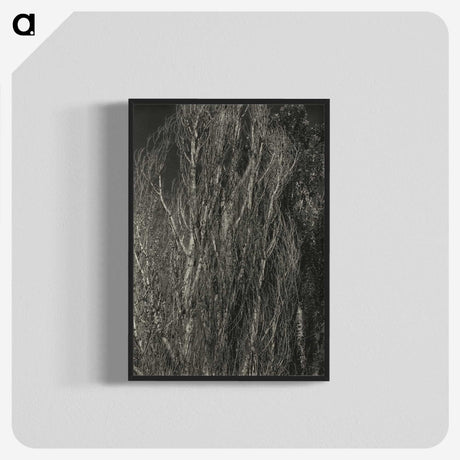 2-41_Alfred-Stieglitz_blk-crop