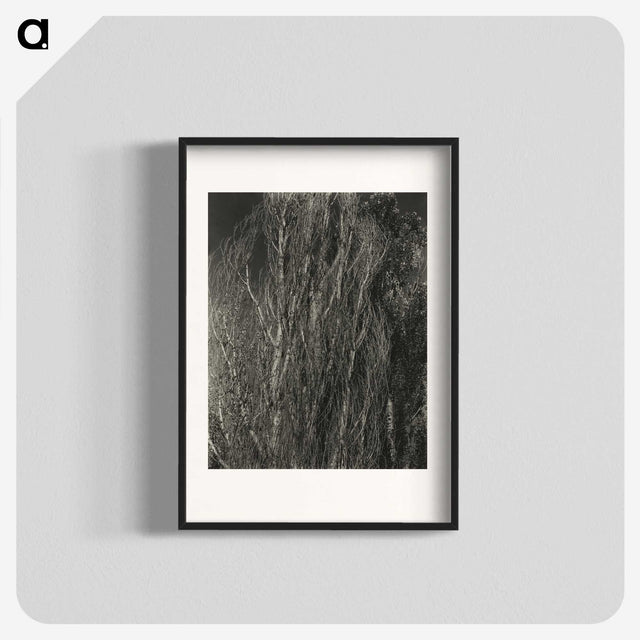 2-41_Alfred-Stieglitz_blk
