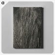 2-41_Alfred-Stieglitz_canvas