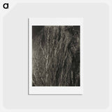 アートポストカード-Poplars—Lake George - アルフレッド スティーグリッツ Postcard.