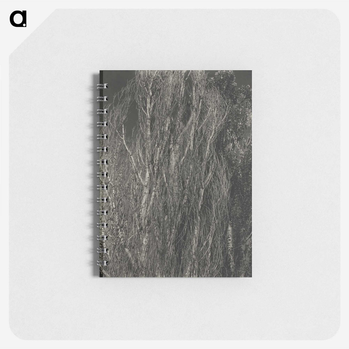2-41_Alfred-Stieglitz_memo