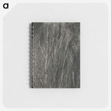 2-41_Alfred-Stieglitz_memo