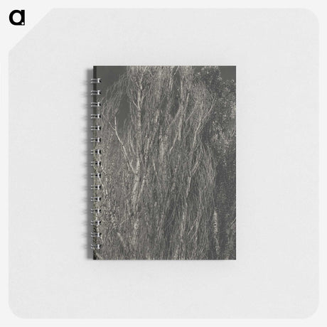 2-41_Alfred-Stieglitz_memo